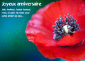 Éclat de coquelicots pour un anniversaire radieux